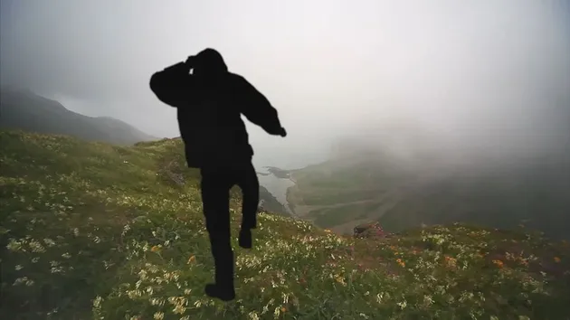 <nil>