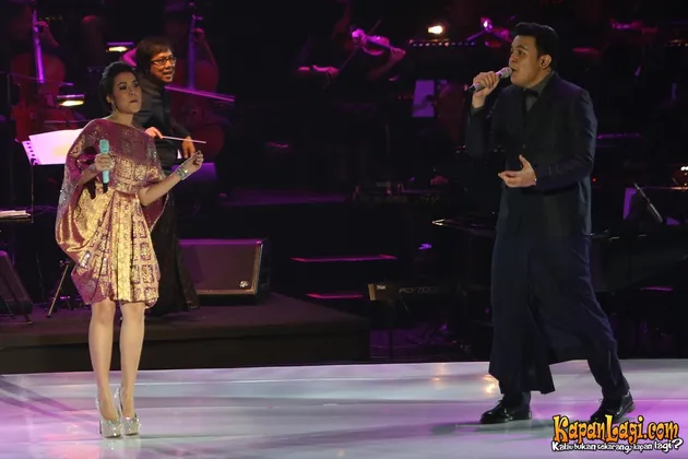 Konser Satu Indonesia