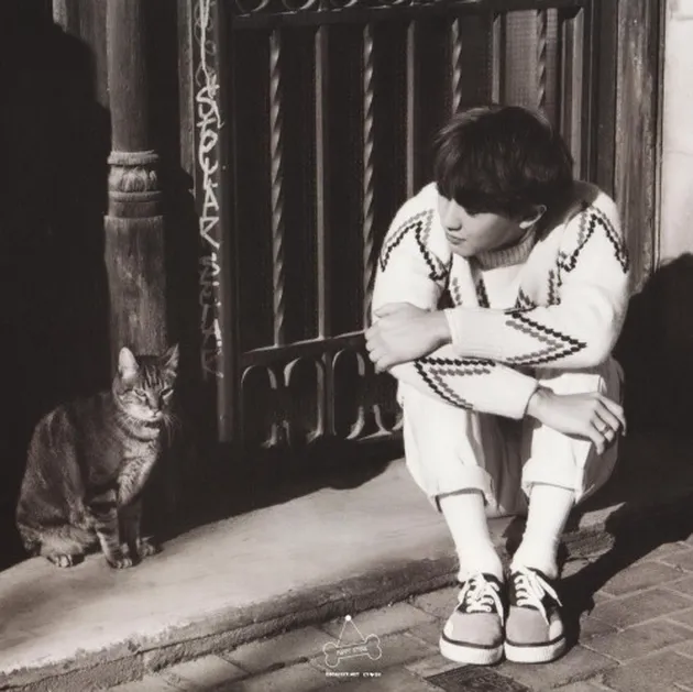 Chanyeol and animal