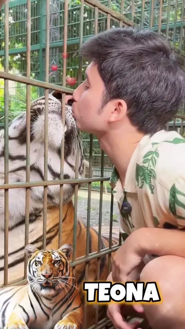 Alshad Ahmad cium harimau Teona