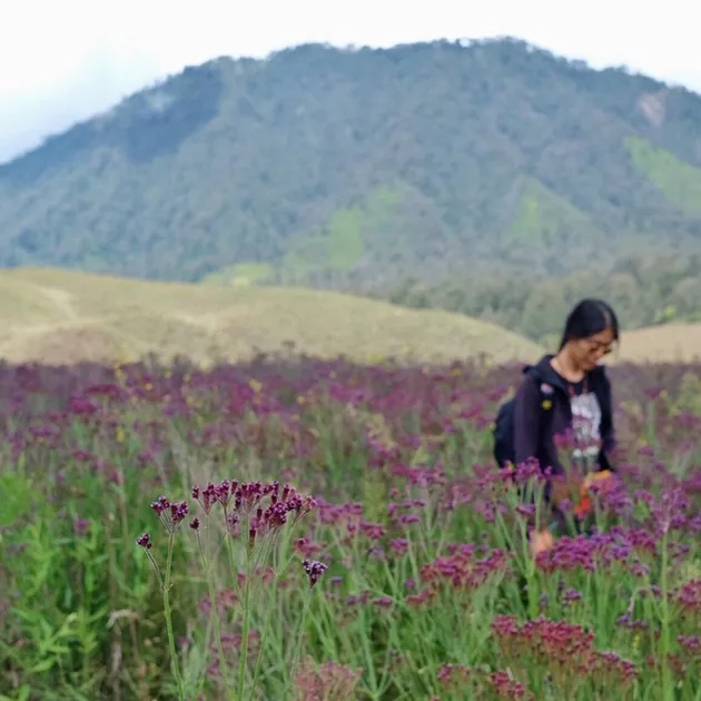 Trip Semeru Dominique Diyose