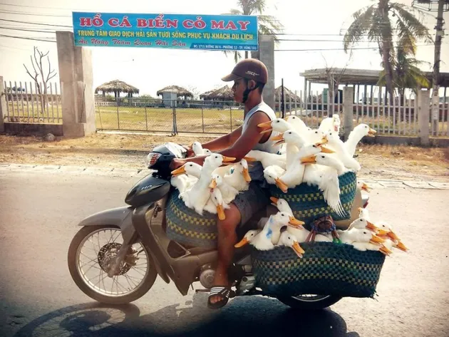 Kendaraan Kelebihan Muatan