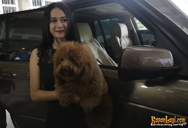 Aura Kasih
