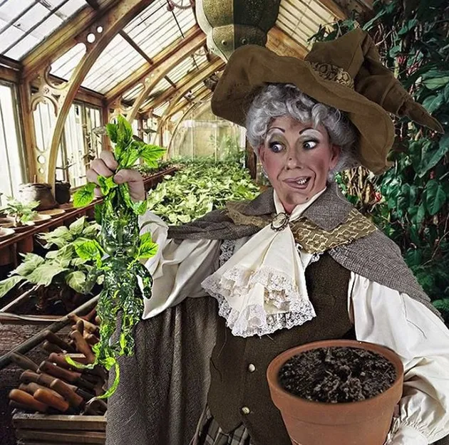 Kostum Halloween Harry Potter