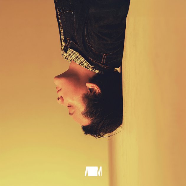 <nil>