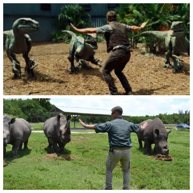 Jurassic World - Zookeeper Re-creating