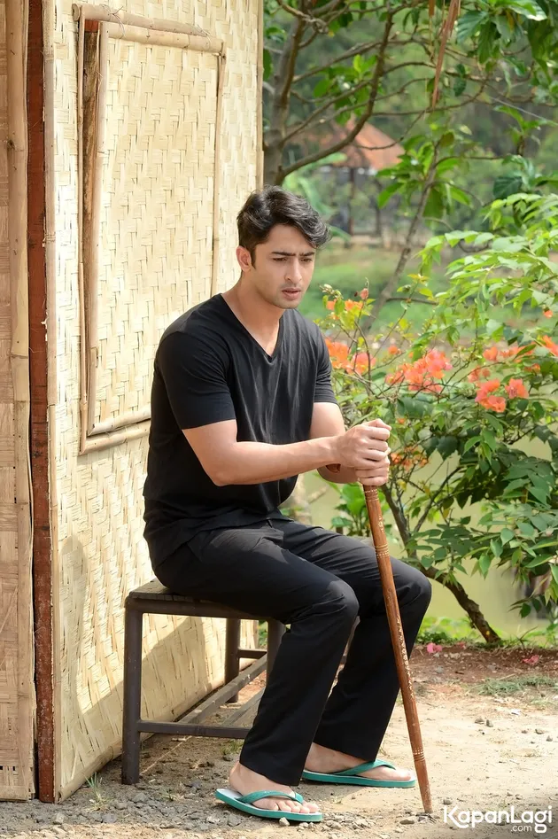 Awal Kisah Hidup Shaheer Sheikh 'Revan', Dramatis Berakhir ...