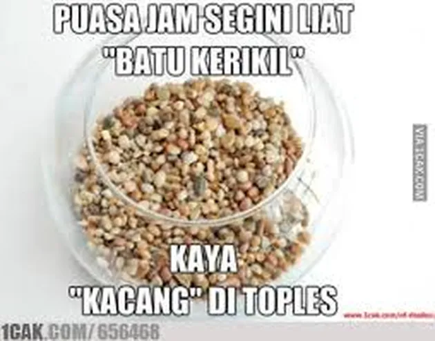 meme unik, meme lucu, meme aneh