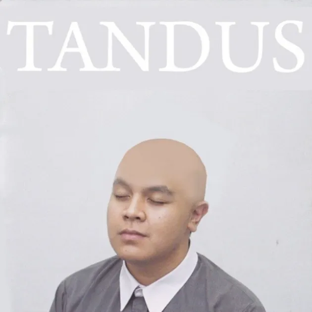 Meme Cover Album Tulus