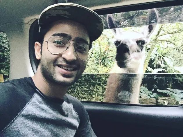 ayu ting ting, shaheer sheikh, raffi ahmad