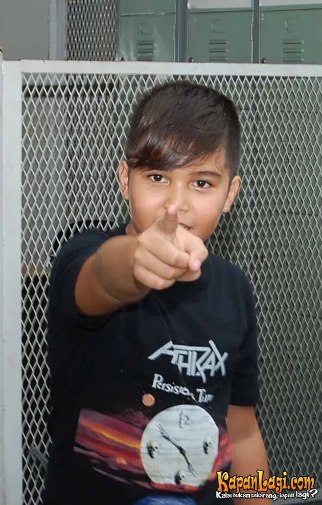 apok bebas