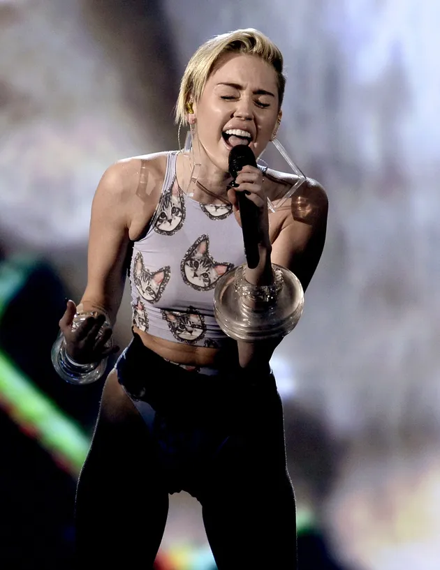American Music Awards 2013
