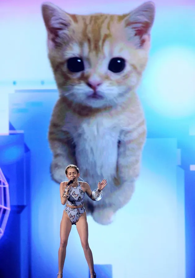 American Music Awards 2013