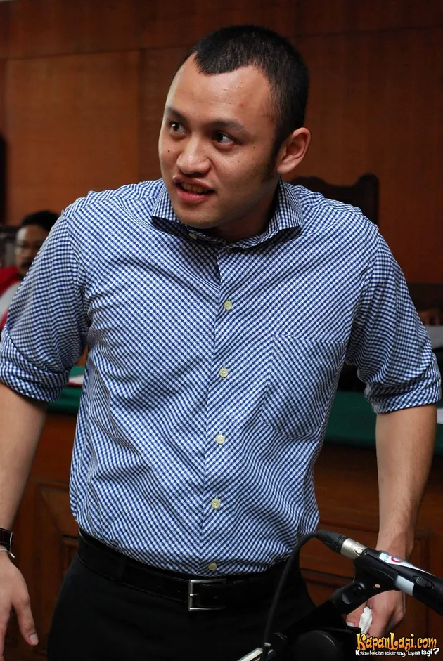 ananda mikola