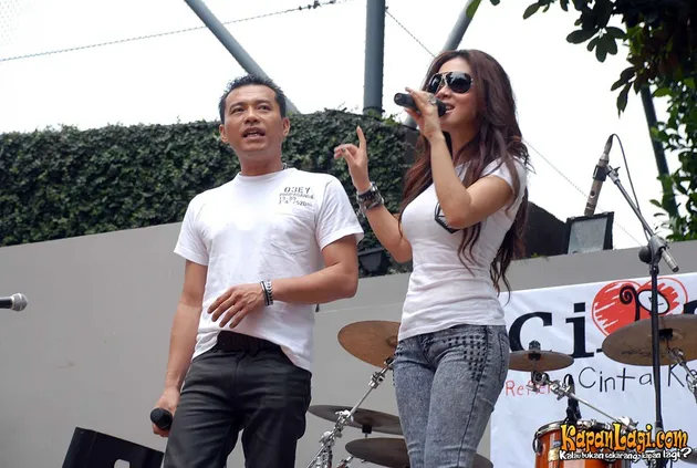 anang hermansyah, syahrini