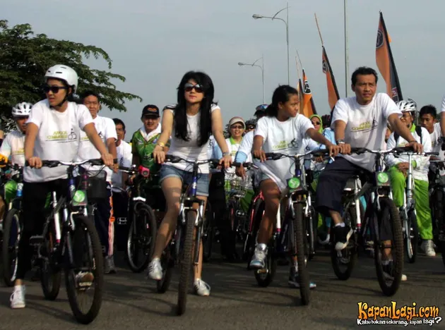 Anang Hermansyah