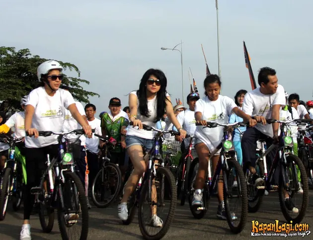 Anang Hermansyah