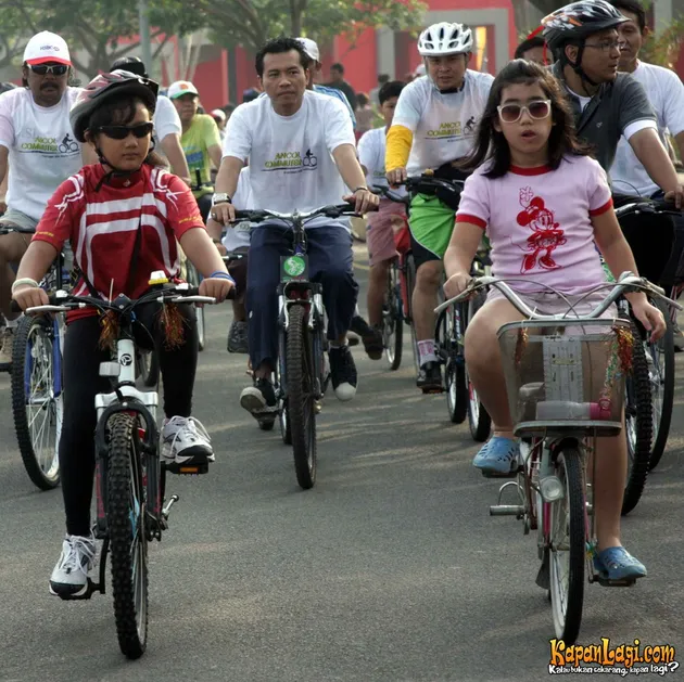 Anang Hermansyah
