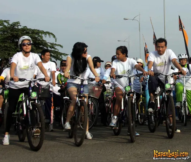Anang Hermansyah