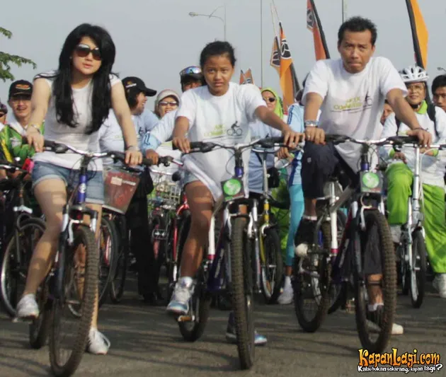 Anang Hermansyah
