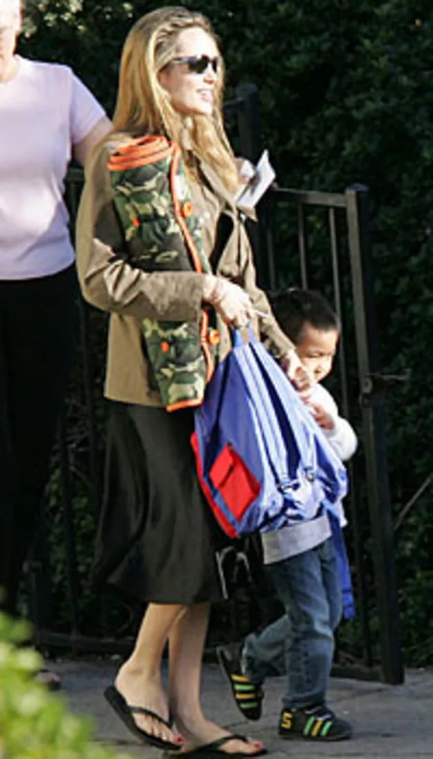 angelina jolie hamil