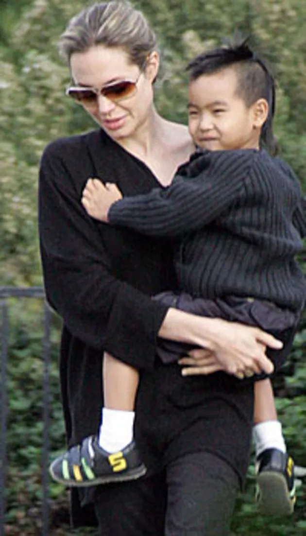 angelina jolie hamil