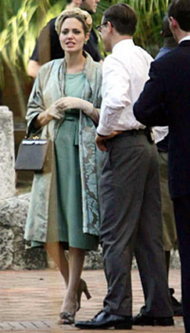 angelina jolie hamil