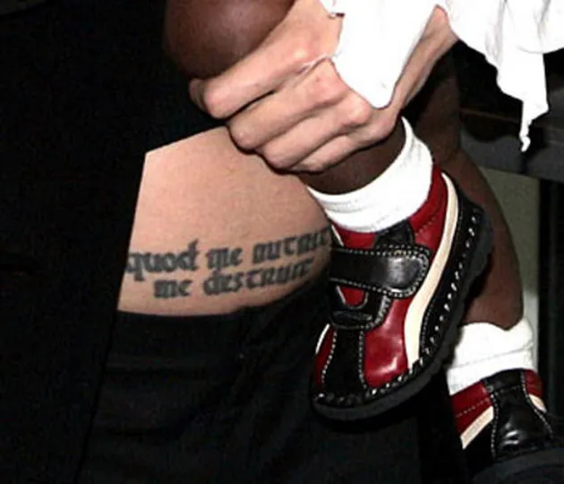 angelina jolie hamil