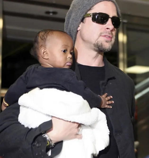 angelina jolie hamil