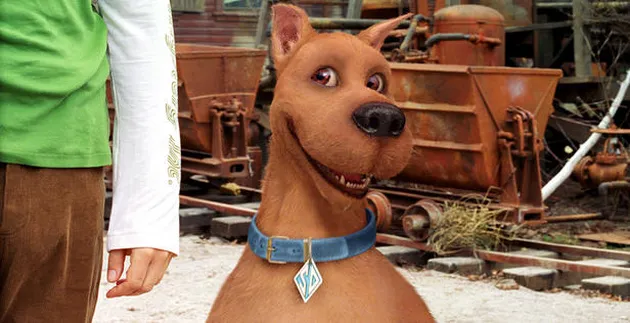 anjing