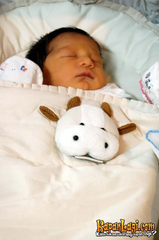 Bayi Kedua