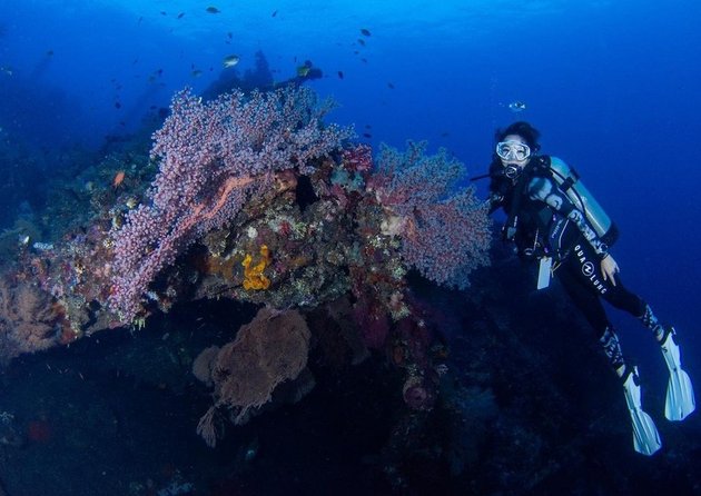 Mermaid's Cup, Peek at 9 Photos of Gisella Anastasia who Now Has a Diving Hobby - Diving with Fish and Coral Underwater