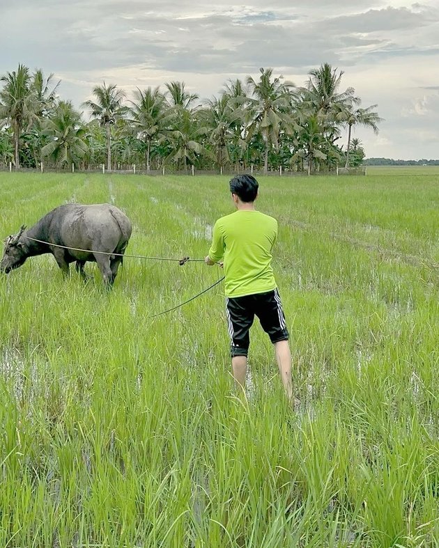 Flood of Praise, 9 Fascinating Portraits of Kier King in Tuxedo to Going Down to the Rice Field