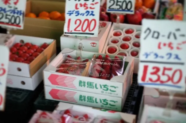 Laudya Cynthia Bella Liburan ke Jepang