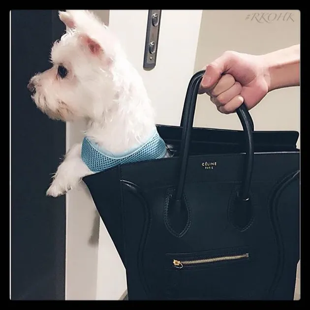 Gaya Anak Orang Kaya