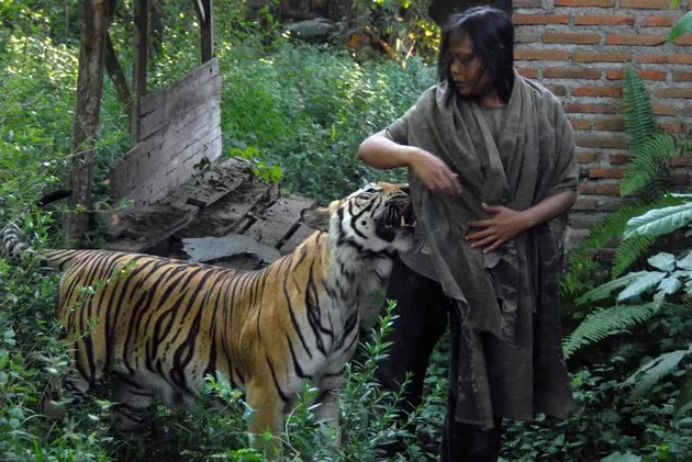 Abdullah Sholeh dan Harimau Benggala