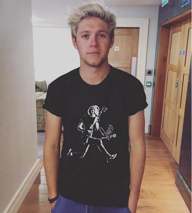 Setelah menjadi penyanyi solo, Niall juga menyoroti orang-orang yang tak memberi cukup kredit untuk apa yang dilakukan One Direction selama ini. Menurutnya, banyak orang yang mengatakan lagu-lagu dari 1D adalah barang pabrik.