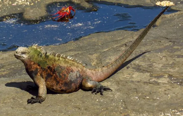 Tempat Mirip JURASSIC WORLD