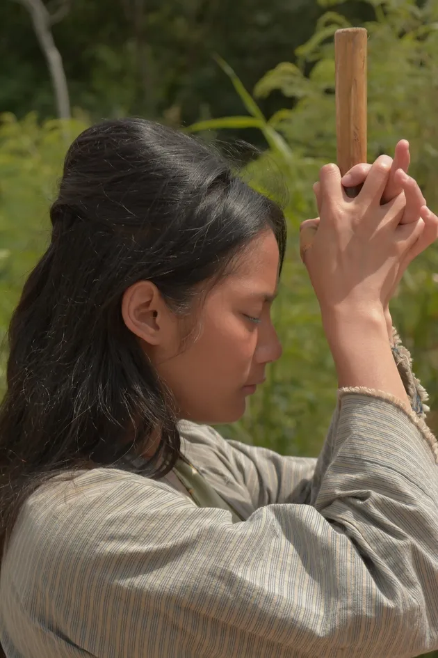 Pendekar Tongkat Emas