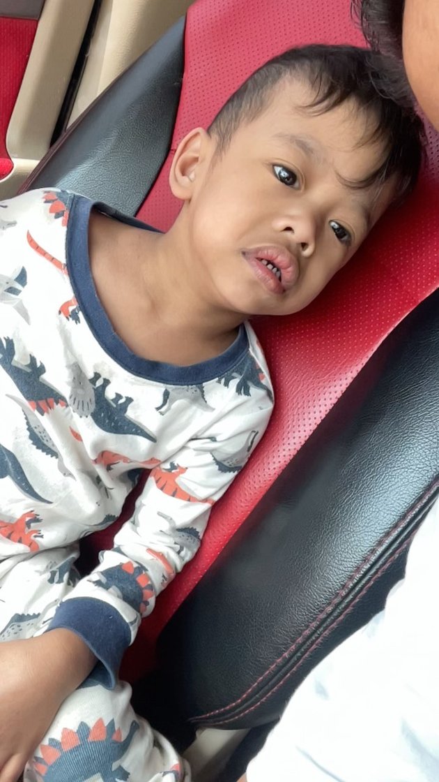 At the Age of 5, Ladzan, Dede Sunandar's Son with Rare Disease William Syndrome - Now Happier