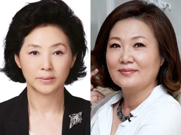 the most outstanding korean drama star