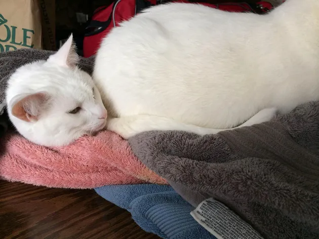 Foto-Foto Yang Bikin Mata Bingung