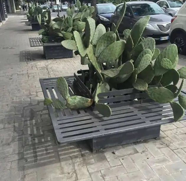 fail, foto fail, arsitektur fail, foto lucu