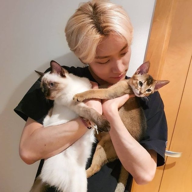 Make Fans Jealous! 8 Adorable Photos of Ten NCT Moments with Pet Cats, Giving Hugs and Sweet Kisses