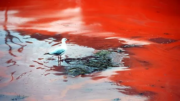 Foto fenomena alam luar biasa