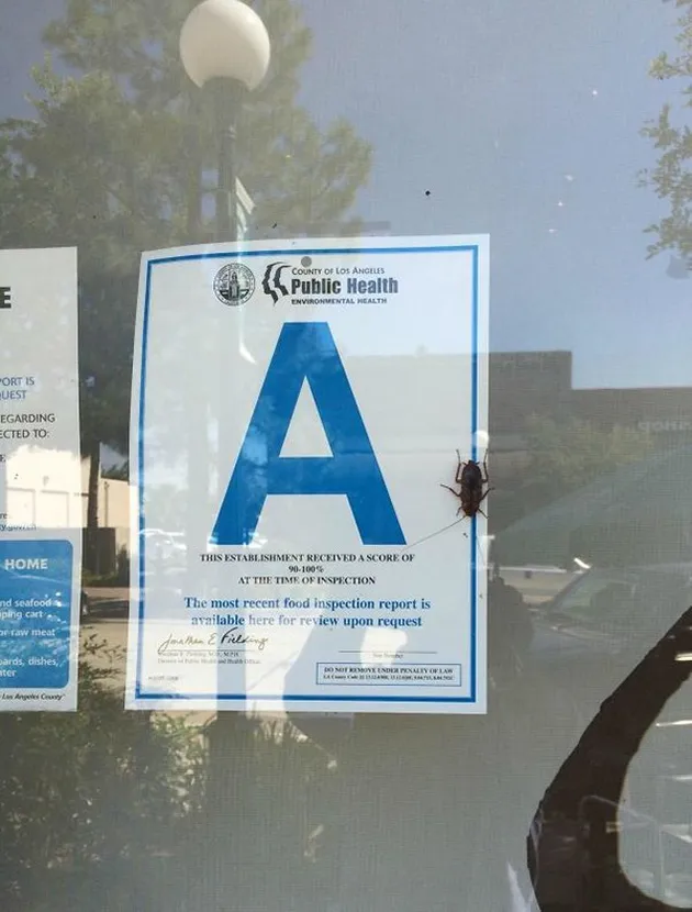 restaurant fail, gal unik, foto unik