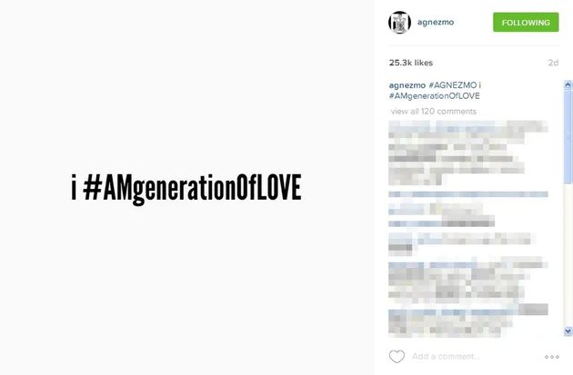 Agnes Monica