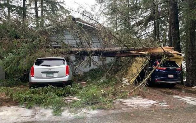 foto unik, berita unik, kumpulan foto unik