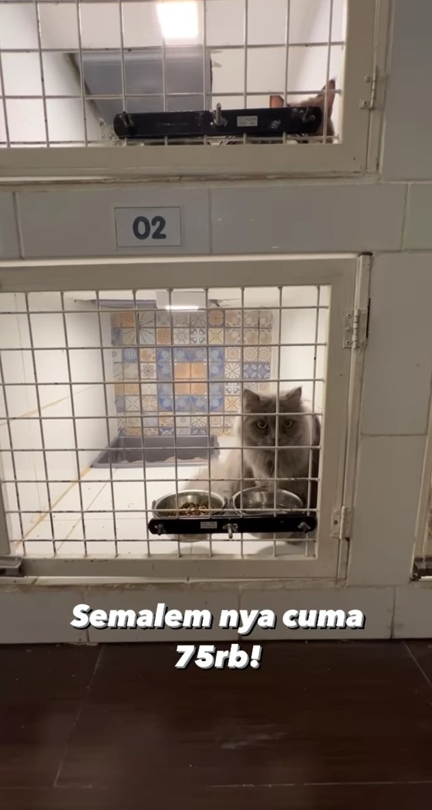 <nil>