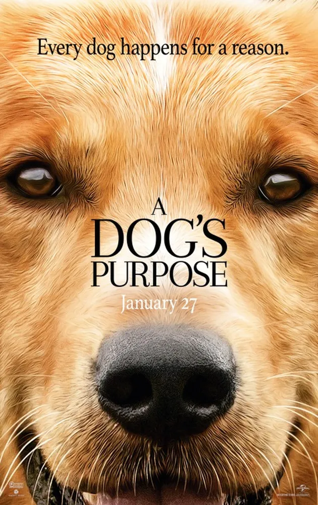 box office, film hollywood, box office minggu ini, box office hollywood minggu ini